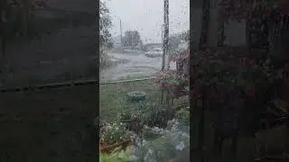 дождались дождичка...