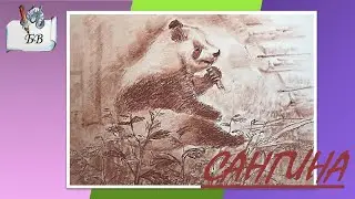 Как рисовать сангиной | Панда | Легко | Для детей 10+ 