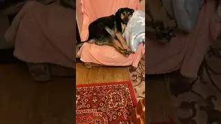 Доброе утро 🤗 