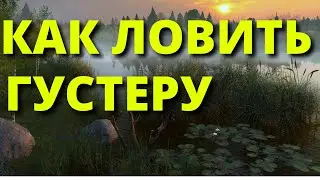 ГУСТЕРА СТАРЫЙ ОСТРОГ КАК ЛОВИТЬ ГУСТЕРУ 🔴 РУССКАЯ РЫБАЛКА 4 / Russian Fishing 4