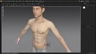 Marvelous Designer Introduction: 3D Line Avatar