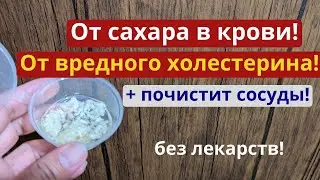 В октябре и ноябре ЭТО - лучшее народное средство для здоровья! Вместо дорогих лекарств и БАДов.