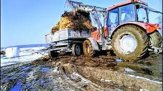 ㋡Wywóz obornika 2019 ☆Rozpoczęcie Sezonu 2019