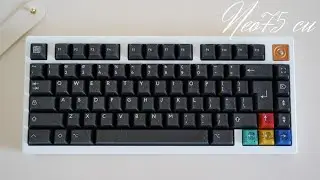 Neo75 CU Ft. PBT Fans Neon R2 - (Review, Unboxing & Sound Test)
