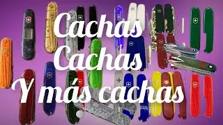 ¿Cuáles son tus modelos de cachas favoritas?