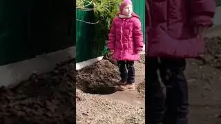 сезон в хатi бардак...