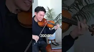 Violin VS Flute [Flight of the Bumblebee] 🐝 ft. Ray Chen