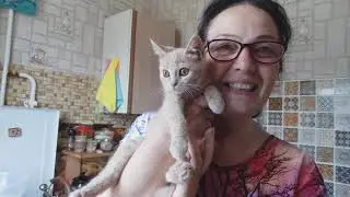 Как же я соскучилась за вами. Покупки,обзор цен.