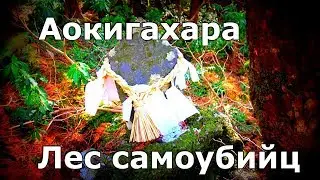 Лес самоубийц. Аокигахара