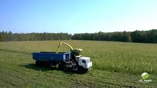 Уборка кукурузы на силос. Кызылжарский район. ТОО Сервис-Жарс