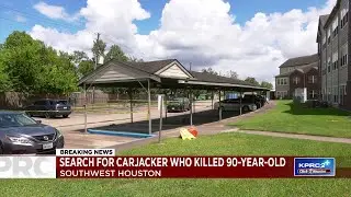 Search for carjacker who killed 90-year-old