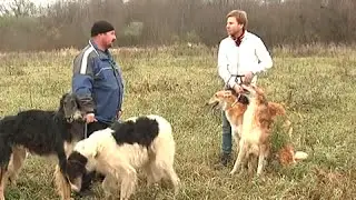 Псовая Охота. Сюжет из программы 