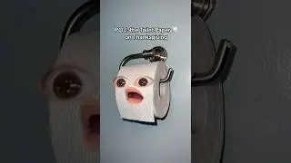 POV: The TP on ThanksGiving 