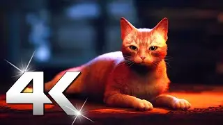STRAY Gameplay Trailer 4K (2022)