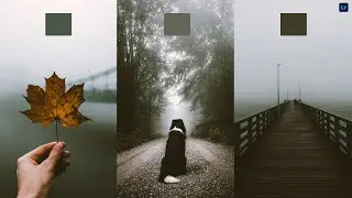 How to edit like moody style | Lightroom mobile presets | DNG & XMP