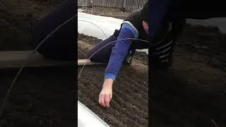 🍅 Замачивание семян томатов для посева на рассаду 🌱 Выращивание рассады помидор
