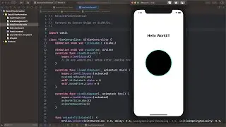 Basic UIView Animation Swift #3