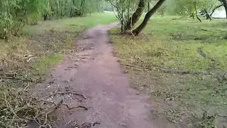 Ещё один сильнейший ураган в Беларуси, июль 2024г. Видео сюжет.