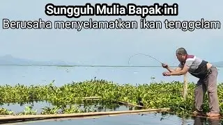 Mancing Jatiluhur terbaru 2024 || Penyelamatan ikan yang tenggelam