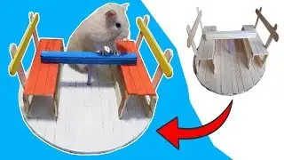 DIY Hamster carousel.   Popsicle stick hamster toys