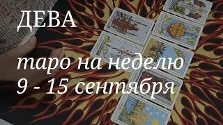 ДЕВА ТАРО расклад на неделю с 9 по 15 сентября 2024 года.