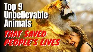 || TOP 9 UNBELIEVABLE ANIMALS THAT SAVED PEOPLE'S LIVES || GLOBAL TV ||