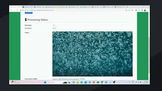 VireStream - ReactJS, FFMPEG and Laravel video management system