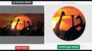 How to crop image in circle shape online-Crop pictures in word