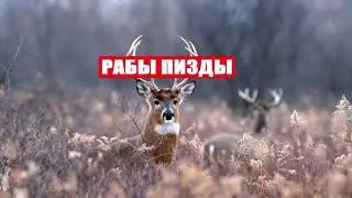 Почему 