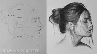 Drawing Practice - How to draw side profile of a face Loomis Method