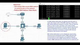 Cyber-lab-#1:  Mac address table attacking using kali Linux