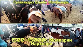 Гулакандоз Шанба Молбозори.1500с дан 15000с Булган Моллар Нархлари.