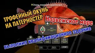 Трофейный окунь морской норвежский на патерностер. 