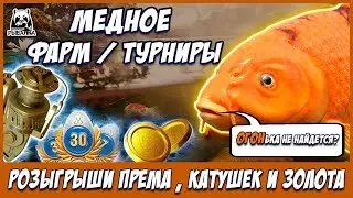 МЕДНОЕ - ЦВЕТНЫЕ КАРПЫ 🎁 В  РУЛЕТКЕ - РАПТОР, ВЕНГА, РОД ПОД 🔴 РОЗЫГРЫШИ И ТУРНИРЫ 💥СТРИМ РР4