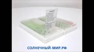 Видео обзор - Микропрепарат Анатомия и физиология человека