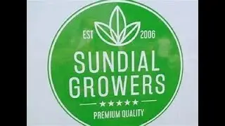 SNDL Is Sundial Growers Inc. Still A Good Investment?