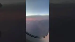 Ржаная булочка с корицей. Аэрофлот бизнес-класс ✈️