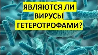 41. Являются ли вирусы гетеротрофами?