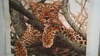Леопард 0937 Риолис