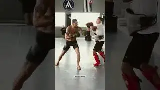 Alex Pereira in Fight Mood 🔥🥊