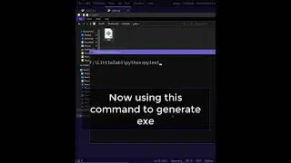 .py to .exe 