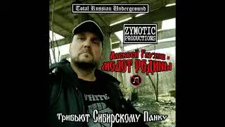Алексей Глухов и ''МОЛОТ РОДИНЫ'' - Стая воронов (ИНСТРУКЦИЯ ПО ВЫЖИВАНИЮ cover)