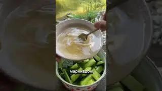 Домашние маринованные огурчики чили