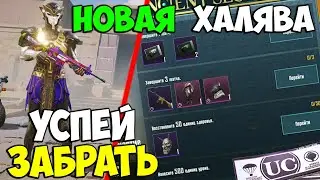 АКТУАЛЬНАЯ ХАЛЯВА В PUBG MOBILE! бесплатные uc pubg mobile ! новая халява пубг мобайл!