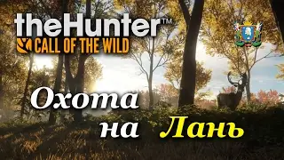 theHunter: Call of the Wild ► Охота на Лань