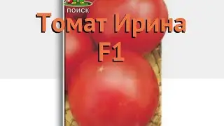 Томат обыкновенный Ирина F1 (irina-f1) 🌿 томат Ирина F1 обзор: как сажать семена томата Ирина F1