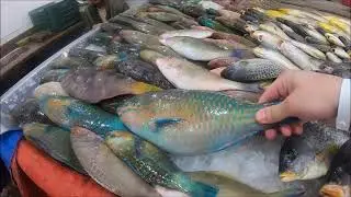 Египет Хургада Рыбный Рынок | Разнообразие Красноморских Морепродуктов 2024