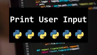 HOW TO PRINT USER INPUT FOR BEGINNERS IN PYTHON 💻