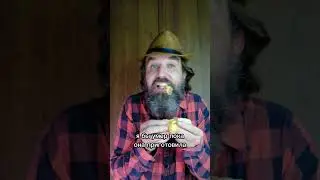 Куда пропали блины?
