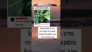 Подборка мемов #memes #мем #мемы #funny #mellstroy #меме #fyp